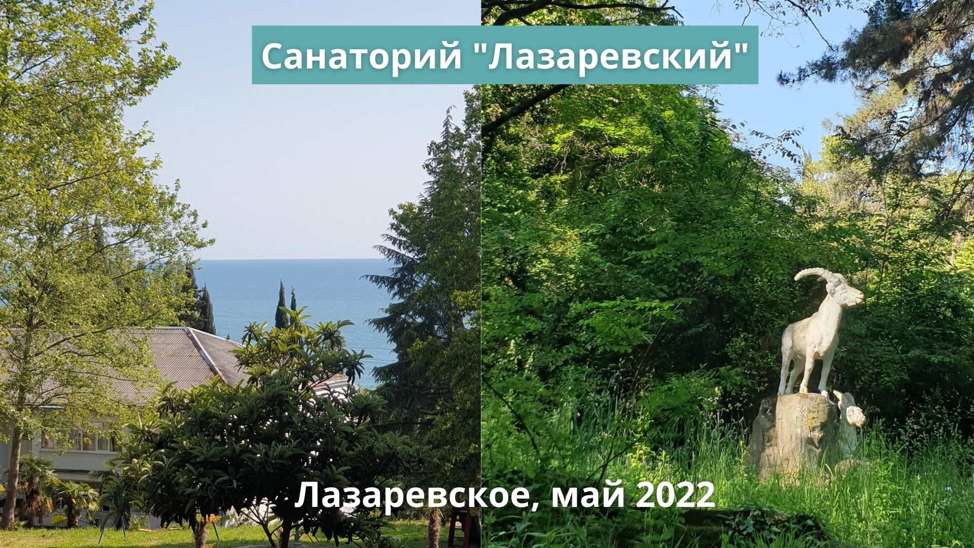 лазаревское 2022 отдых