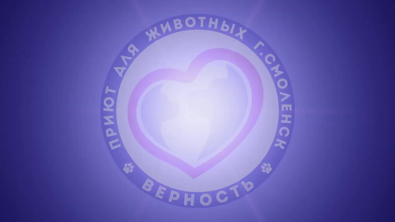 Приют верность смоленск. Каналы верности. Каналы верности. Каналы верности. Каналы верности.