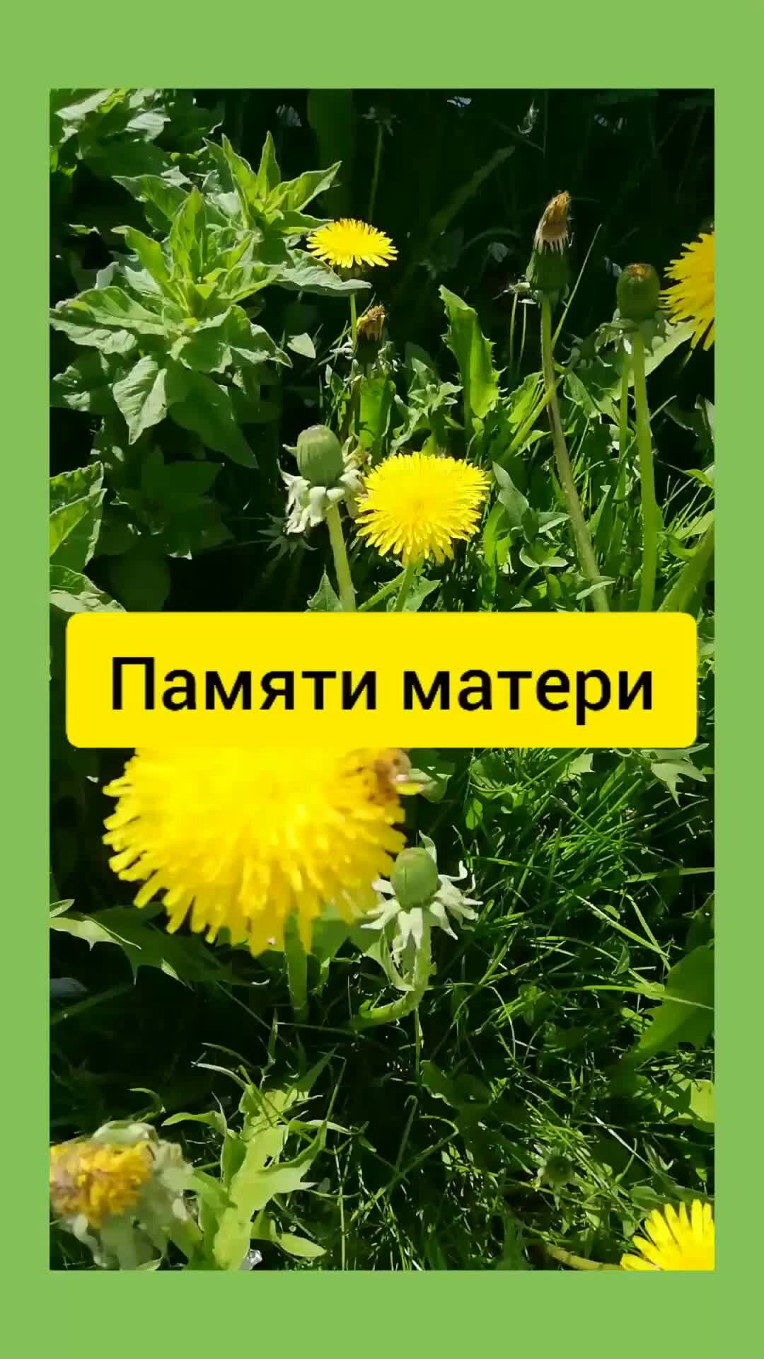 Память мамы