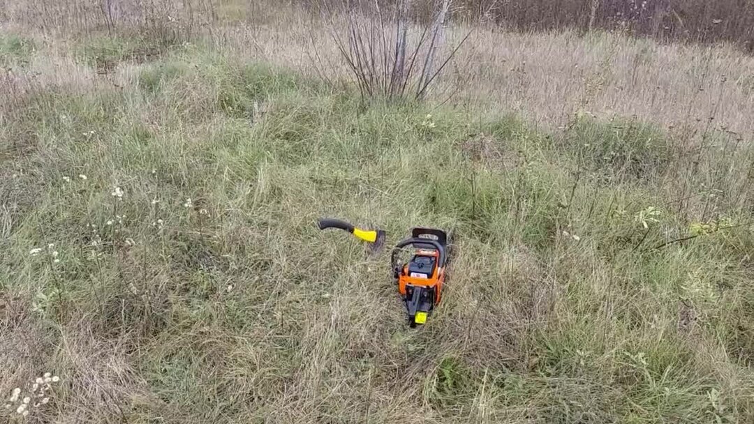 Как избавиться от американского клена раз и навсегда. Показываю ...