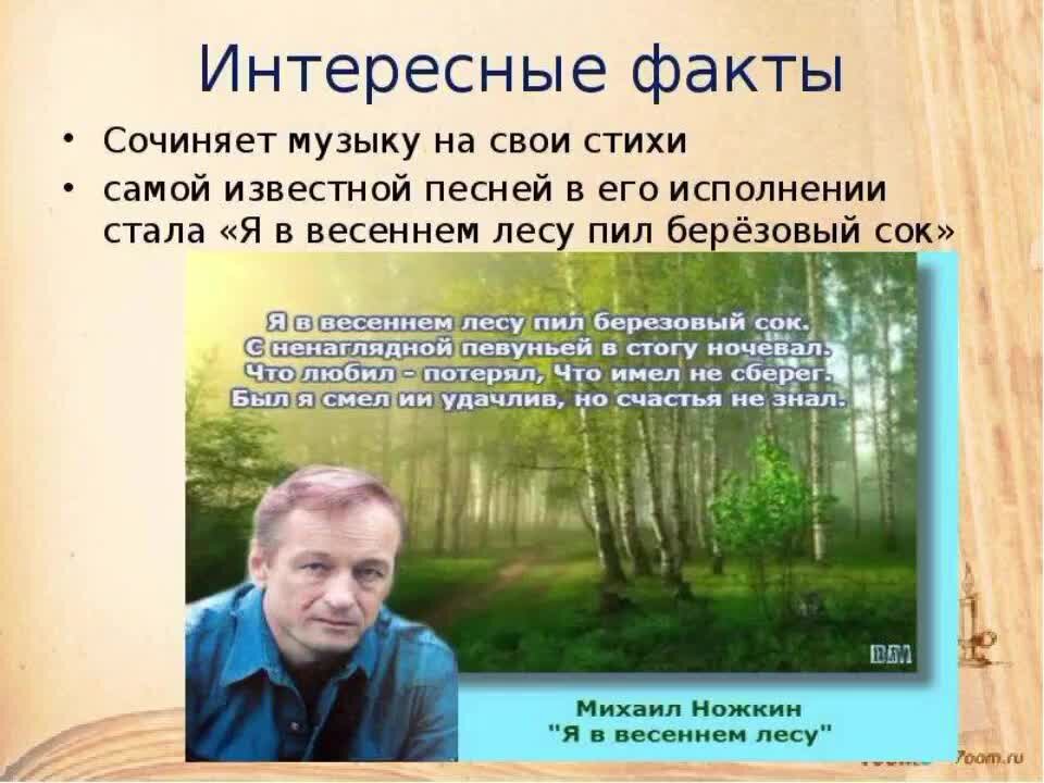 Пил берёзовый сок. Я в весеннем лесу текст. Я в весеннем лесу пил березовый сок. Стихи я в весеннем лесу пил березовый сок. Пил березовый сок с ненаглядной певуньей.