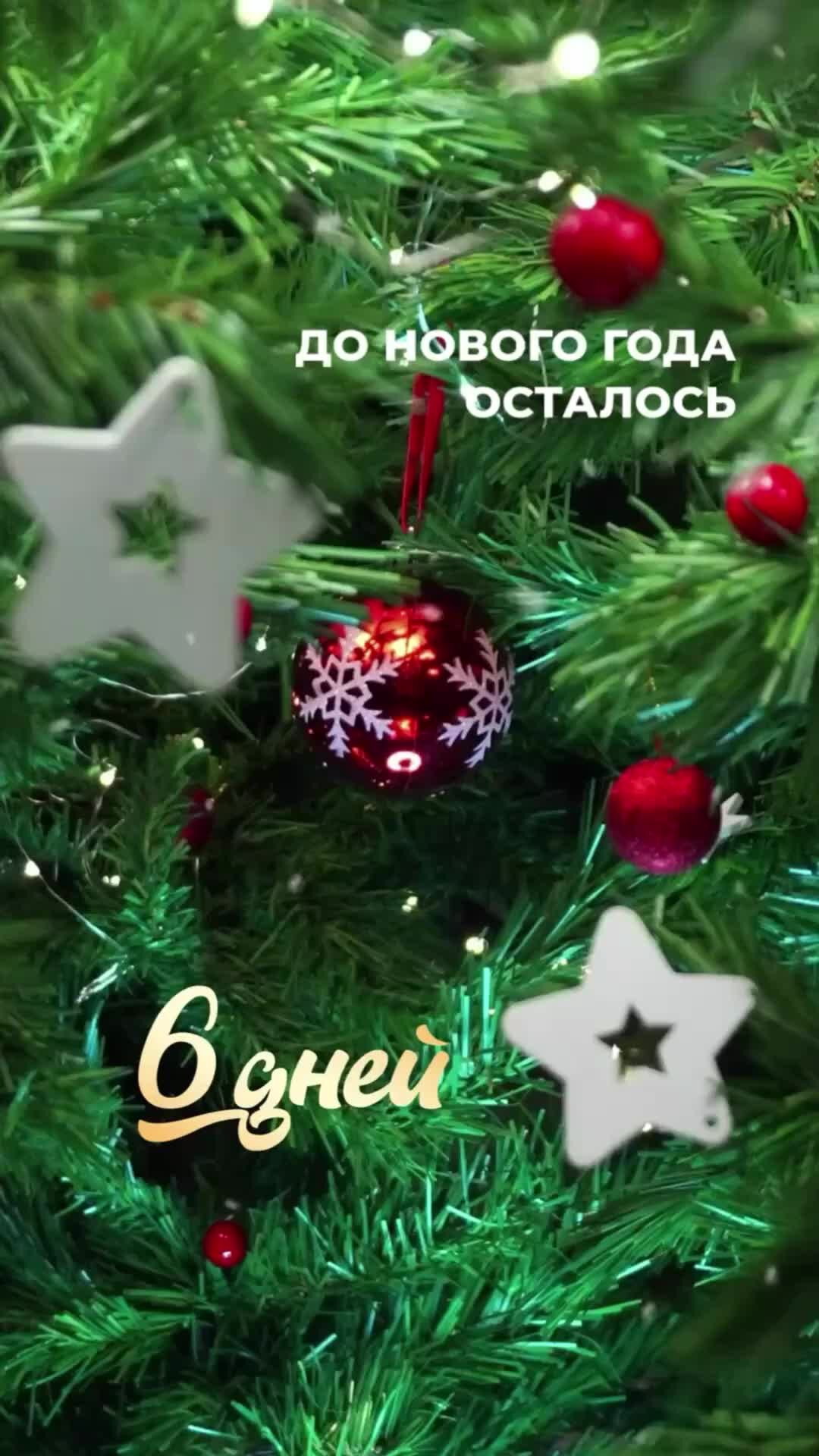 Торговый дом «Парное мясо» | До Нового года осталось 6 дней 🎄 | Дзен