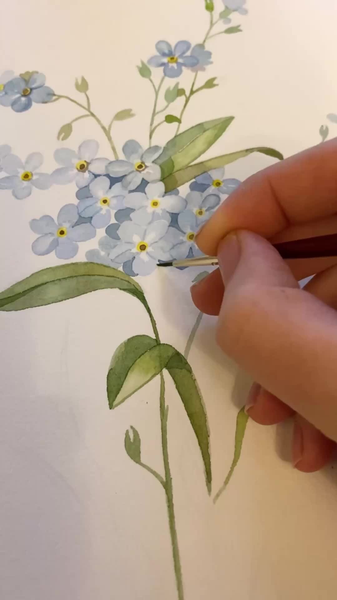 Как нарисовать незабудку