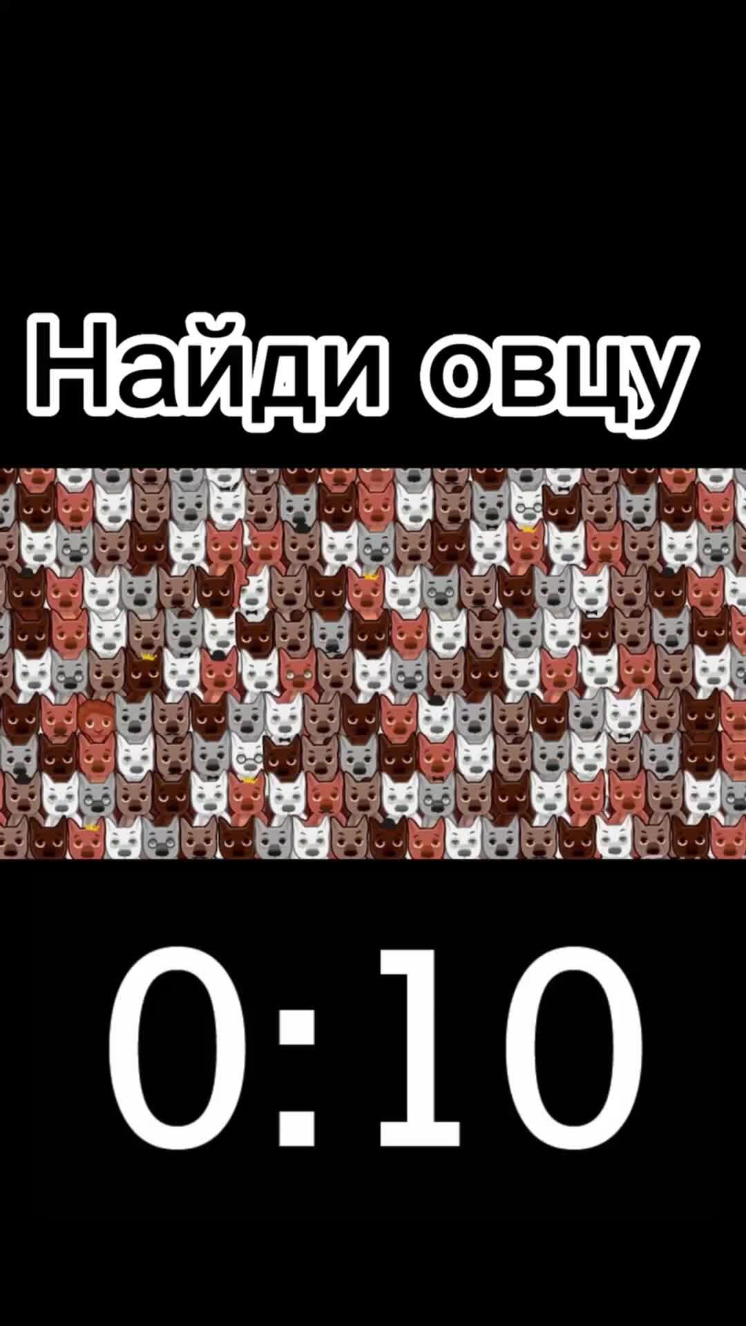 Таймер на 10 секунд