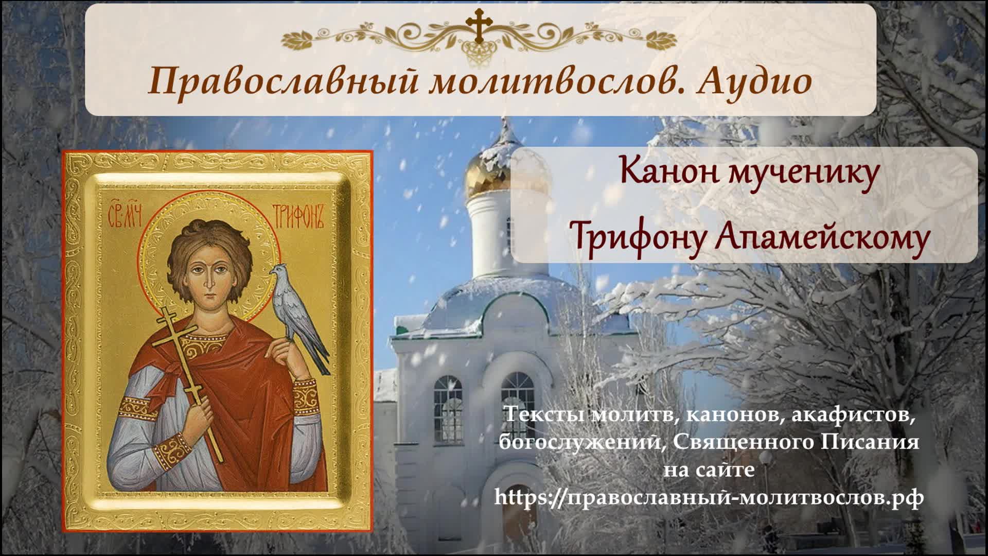 Акафист трифону. Канон святому мученику Трифону. Трифонов день Святого мученика Трифона Апамейского. 14 Февраля день памяти Святого мученика Трифона Апамейского. Канон трем святителям.