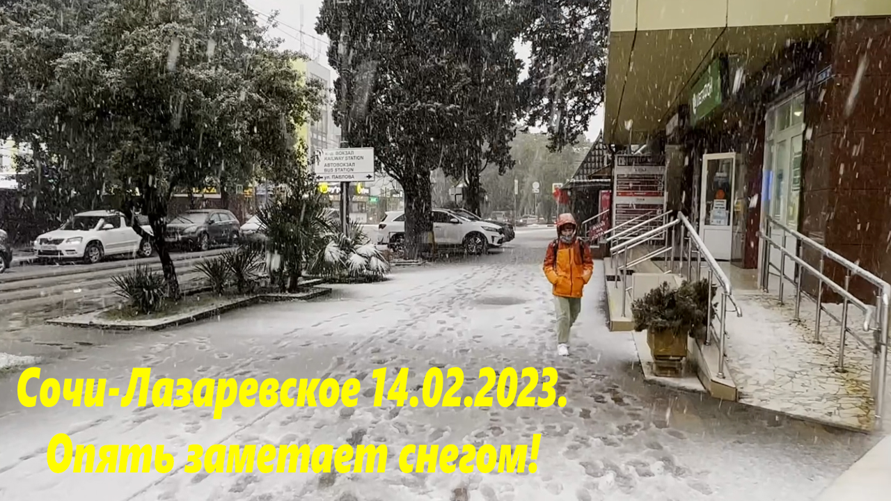 Лазаревское февраль 2024. Снег в Лазаревском. Снег в Сочи сегодня. Снежный Сочи. Снегопад в Лазаревском сегодня.