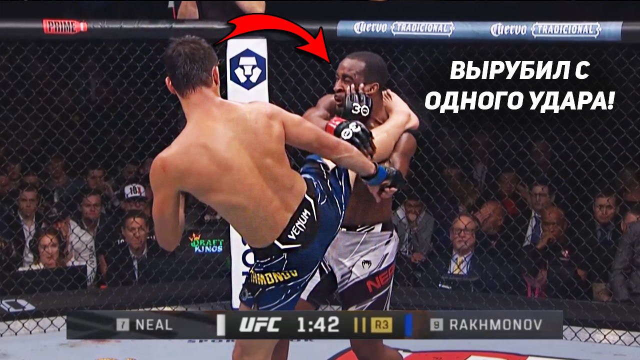 шавкат полный бой. шавкат рахмонов боец ufc. нил мэгни рахмонов. шавкат рахмонов последний бой. хамзат чимаев нил мэгни.