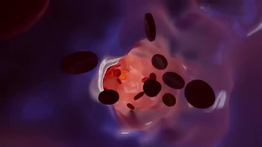 Клетки крови. Клетки крови снимок. Кровяные тельца. Матрица гаряева исцеление сосудов