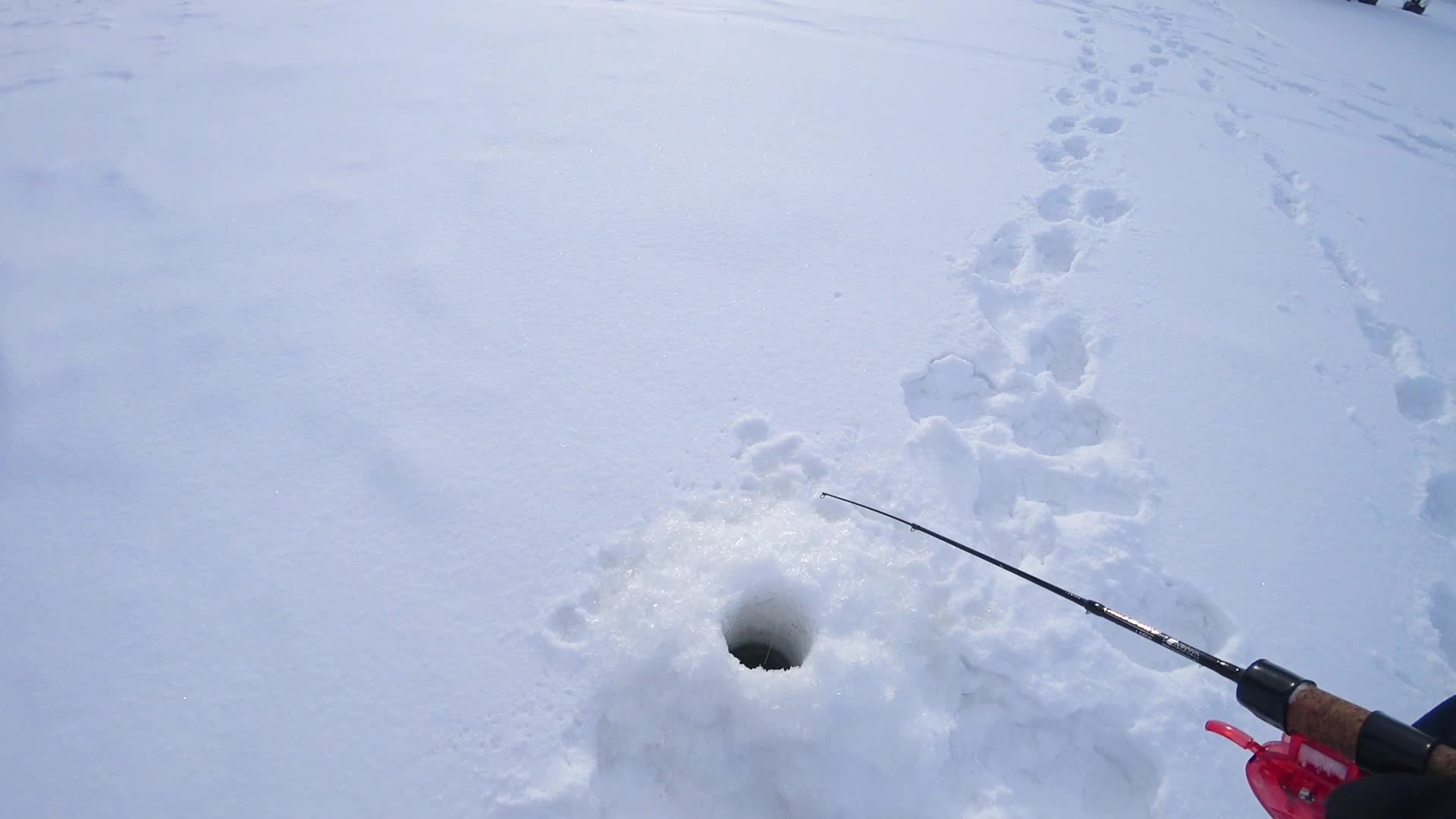 Можайское водохранилище рыбалка зимой. Рыбалка со льда 2023. Рыбалка со льда 2023. Рыбаки на льду. Зимняя рыбалка на можайке 2022.