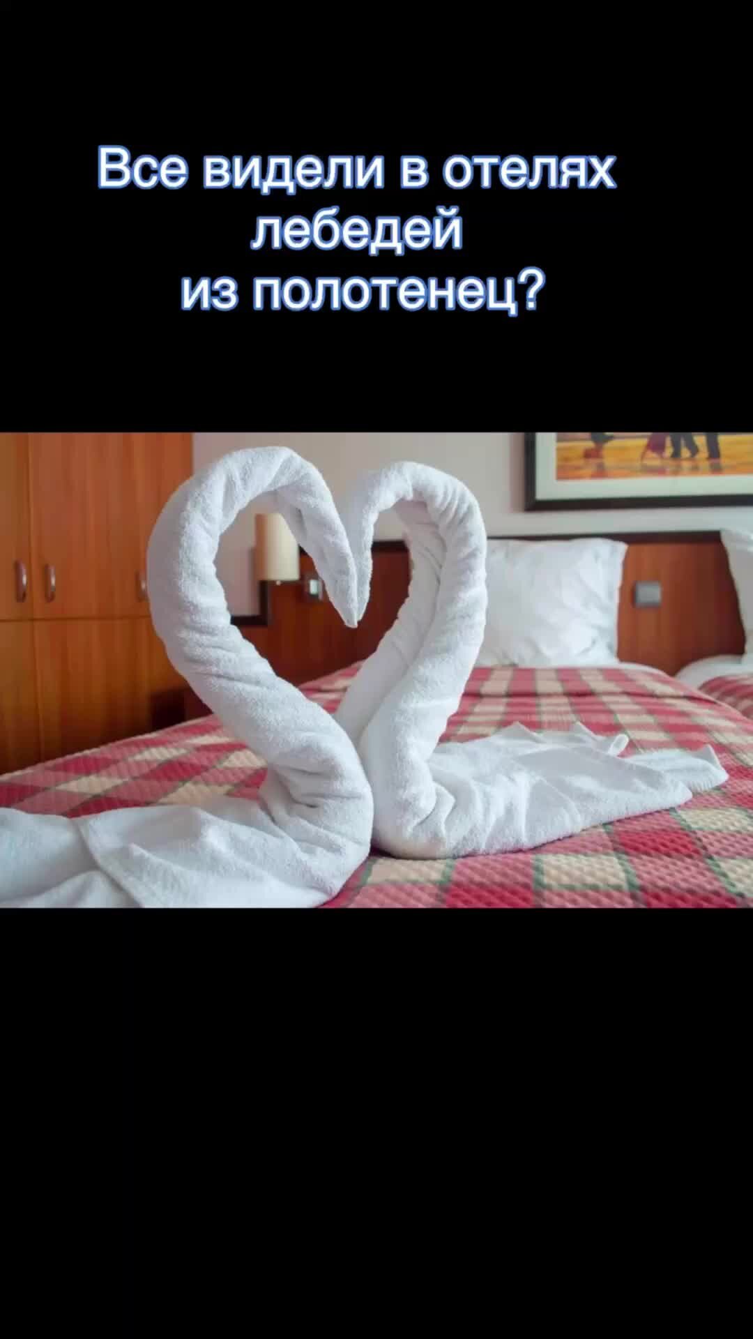 Как сделать лебедя из полотенца