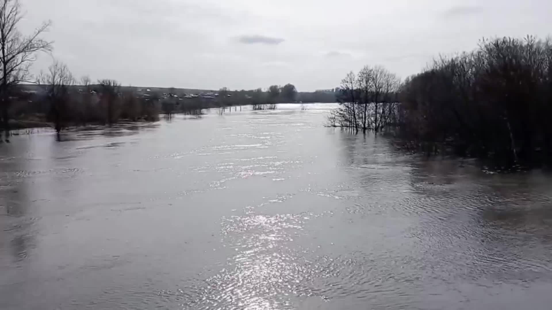 Ченки паводок 2023. Весеннее половодье. Паводок брянск 2023. Подтопления в саратовской области 2023. Паводок 2023.