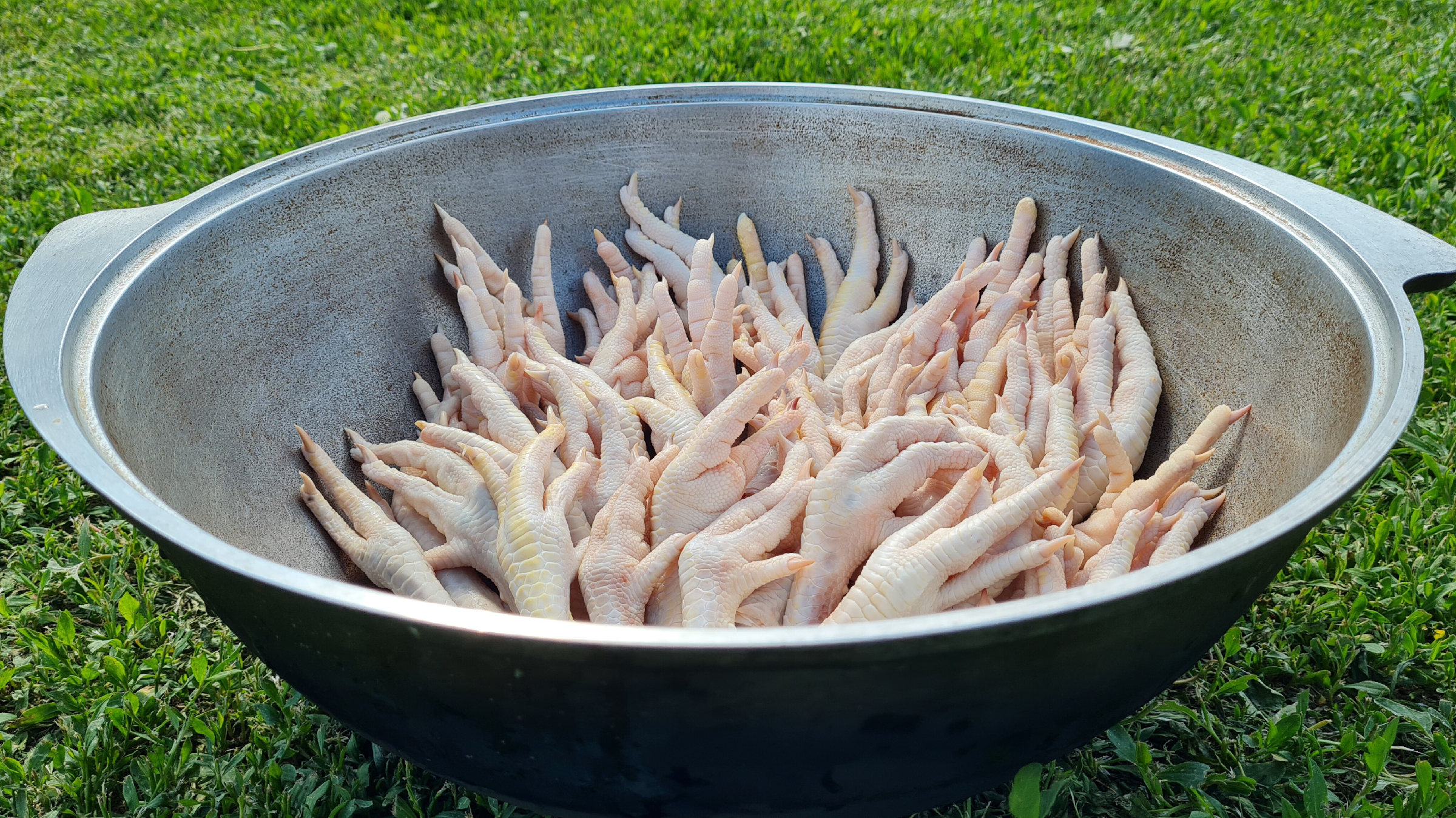 очистки курам