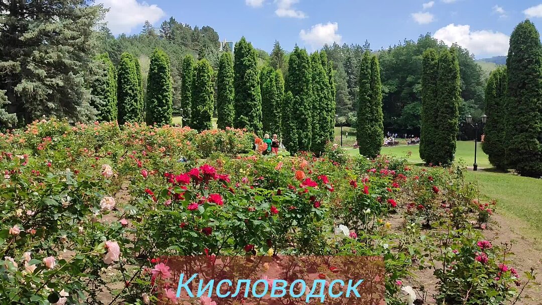 Долина роз кисловодск карта