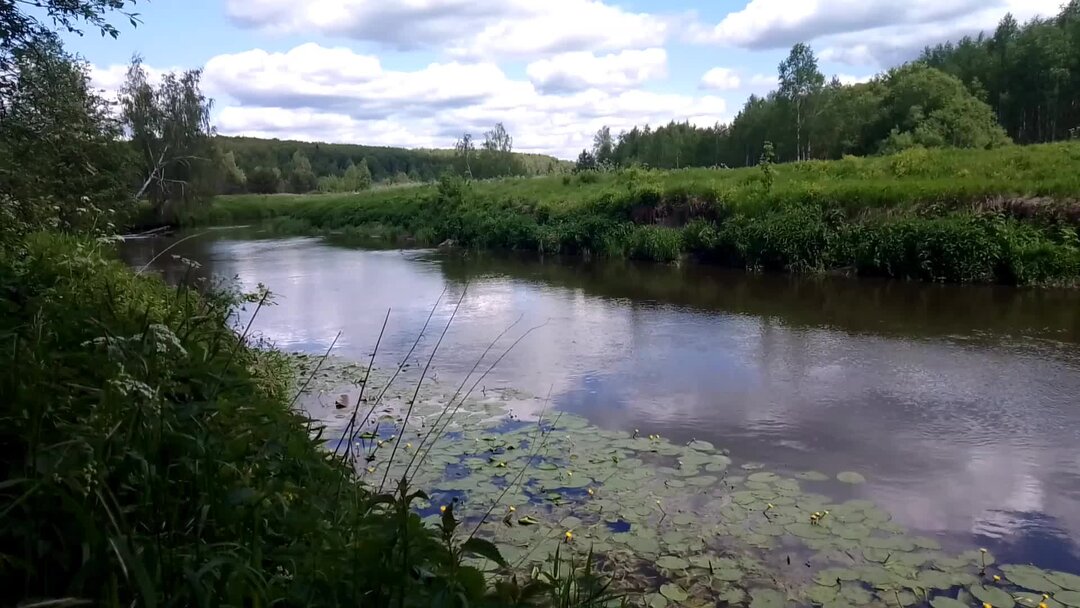 Алик уводи