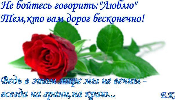 Сказать не бойтесь добрые слова. Вечна всегда. Высказывание о реинкарнации. Вечна всегда. Красивые стихи о жизни.
