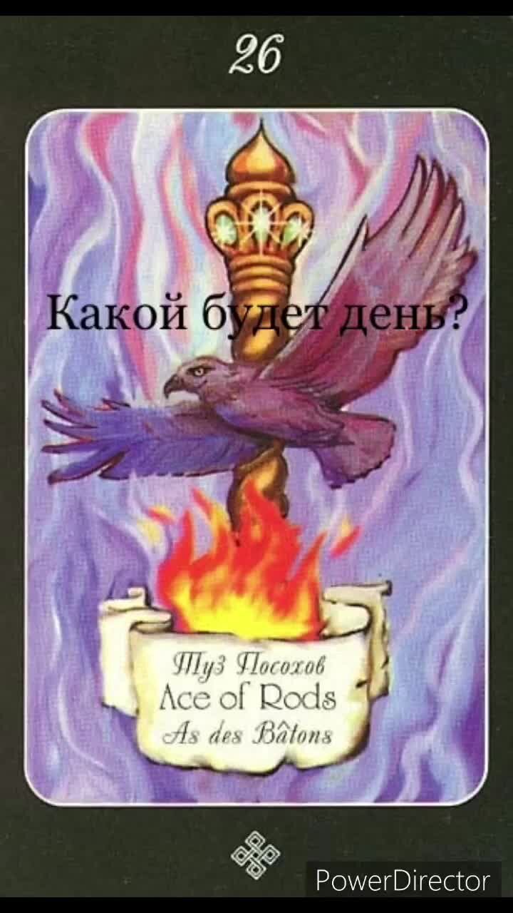 Туз пентаклей 8 жезлов. Аркан туз жезлов. Таро Райдера Уэйта туз жезлов. Карта Таро туз жезлов. Таро младшие арканы жезлы туз.