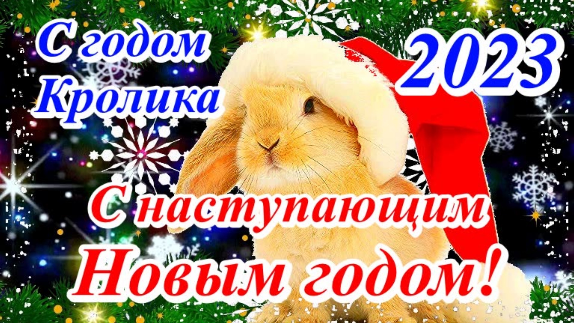 Поздравление новым 2023. Поздравления с наступающим новым годом. С наступающим годом кролика. Поздравляю с наступающим новым годом кролика. Красивые поздравления с наступающим годом кролика.