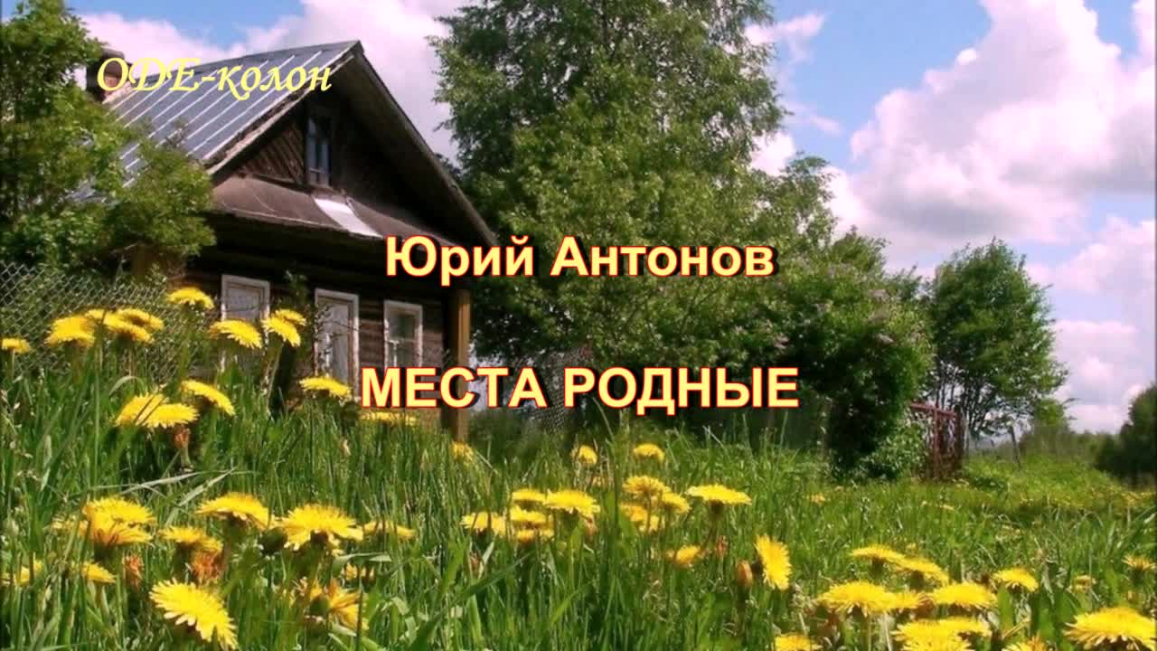 В родных местах ромашкой пахнет. Родные места. Родные места в родных местах ромашкой пахнет ветер.