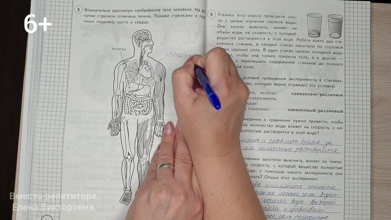 Впр 2023 задания