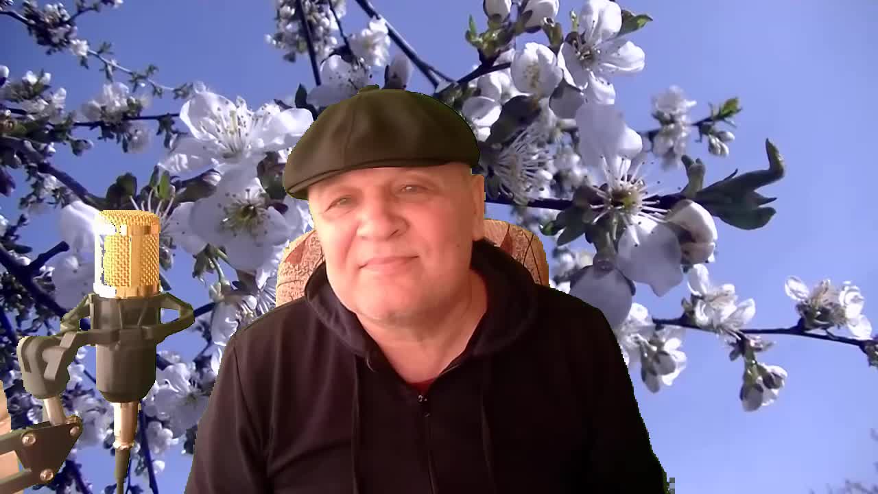 парень красиво спел. спелое спелое песня 1 час ютуб. красиво спел песню. красиво спел песню. павел дадонов ддт гитарист.