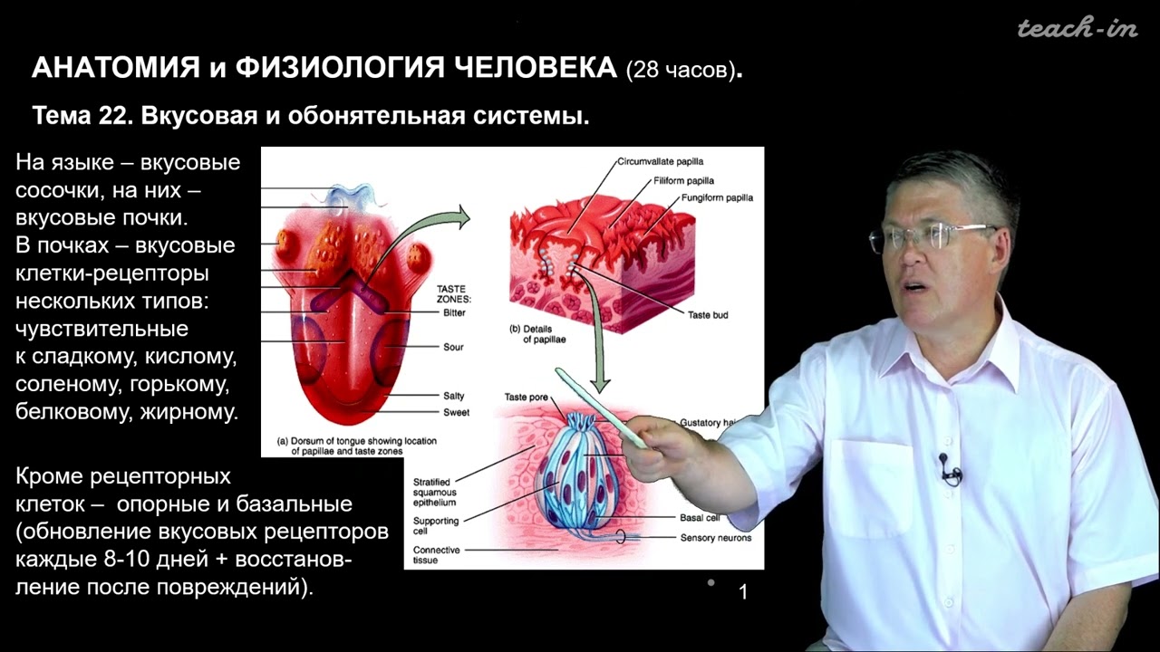 дубынин 100 часов школьной биологии