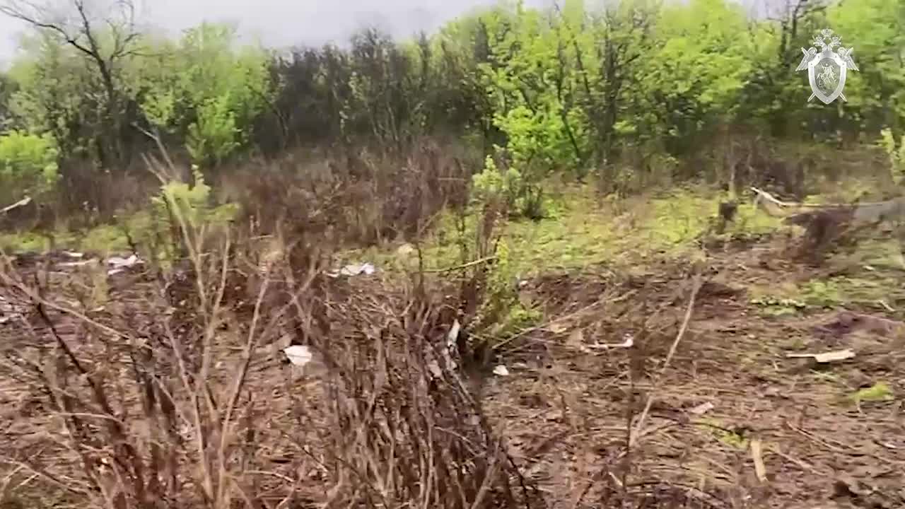 Невероятная история о случайной встрече