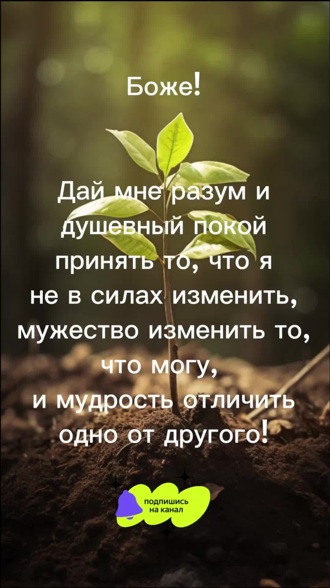 Желаю душевной гармонии