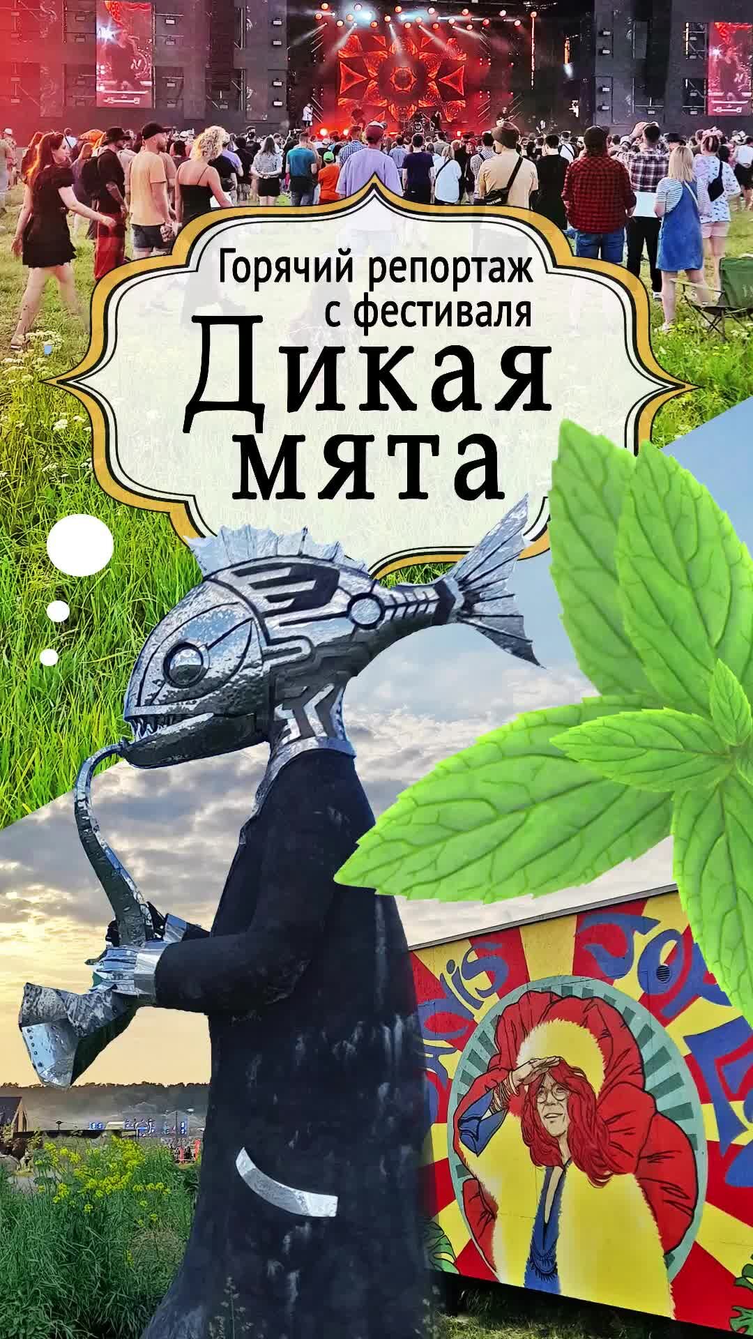 Душевный шагомер | Обещанное видео с «Дикой Мяты»! Электробалалайки, танцы  и нимфа с розовыми волосами. Полный репортаж с фотографиями и впечатлениями  смотрите по ссылке https://clck.ru/34mrAK | Дзен