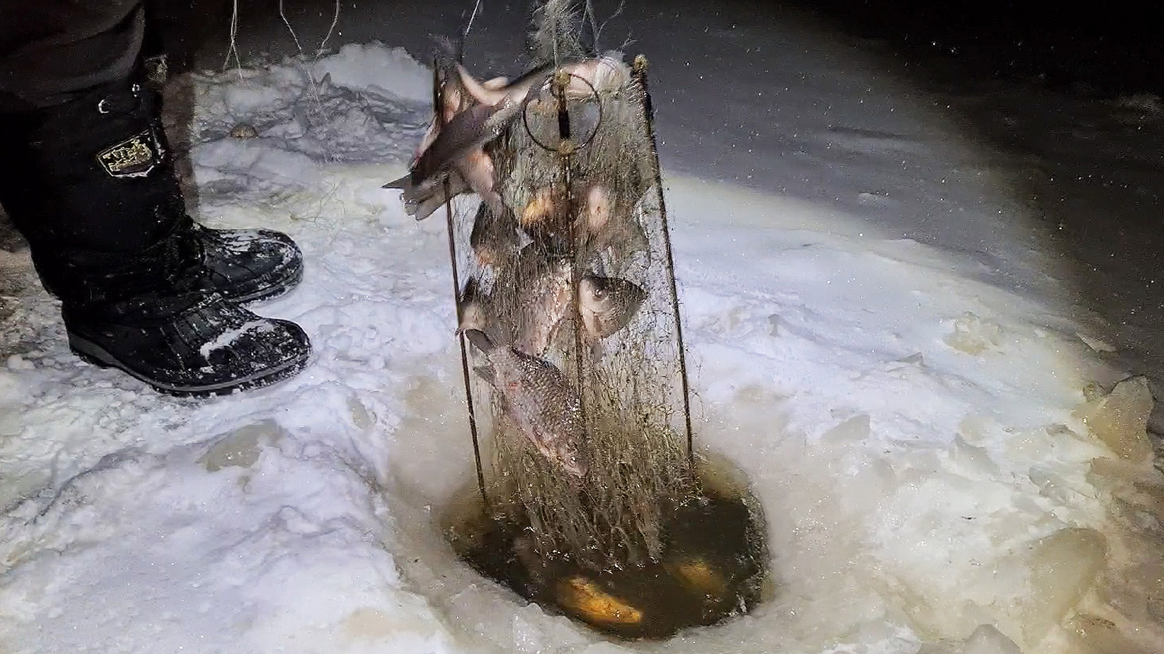Хапуга для рыбалки зимой. Хапуга зимой видео. Рыбацкая снасть хапуга. Удочка хапуга зимняя. Хапуга зимой видео.