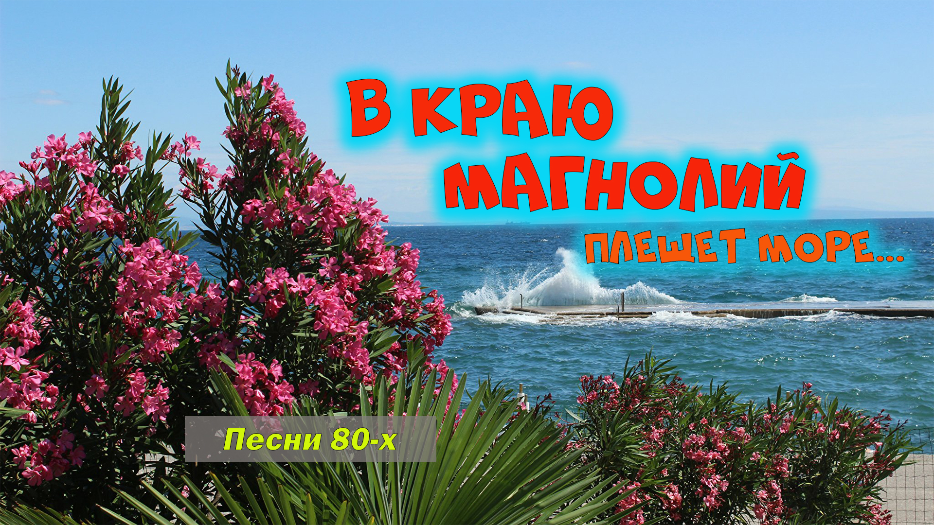 В краю магнолий плещет. В краю магнолий плещет море. В краю магнолий. В краю магнолий песня. Песня в краю магнолий плещет.