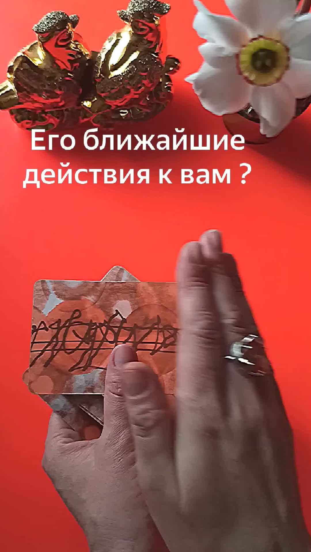 Тина Таро | Его ближайшие действия к вам? Ваши отношения. Гадание онлайн на  картах таро 💯 | Дзен