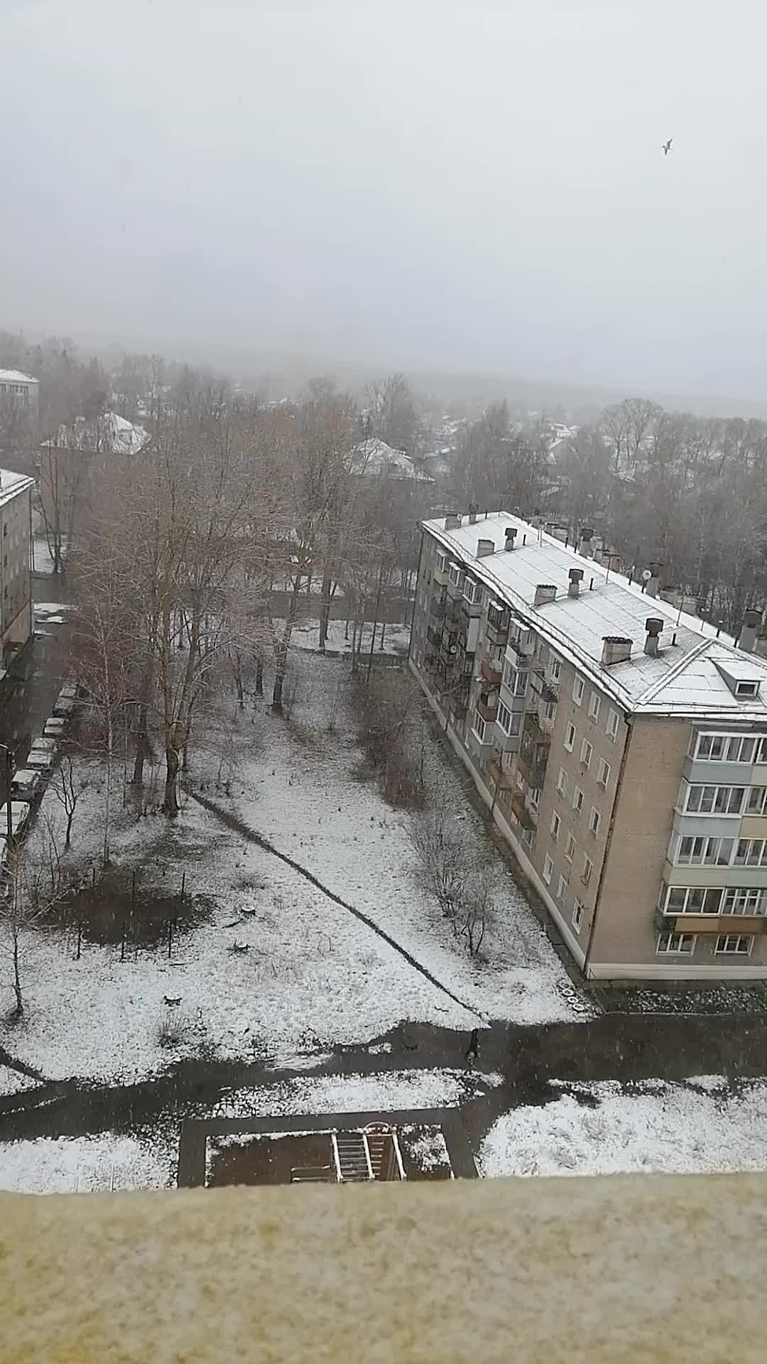 Картина по номерам на холсте по фото на заказ