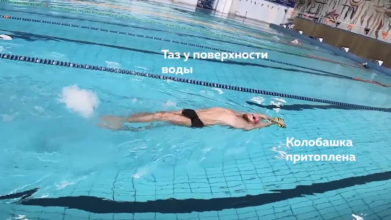 Silver swim школа плавания. Кроль школа плавания.