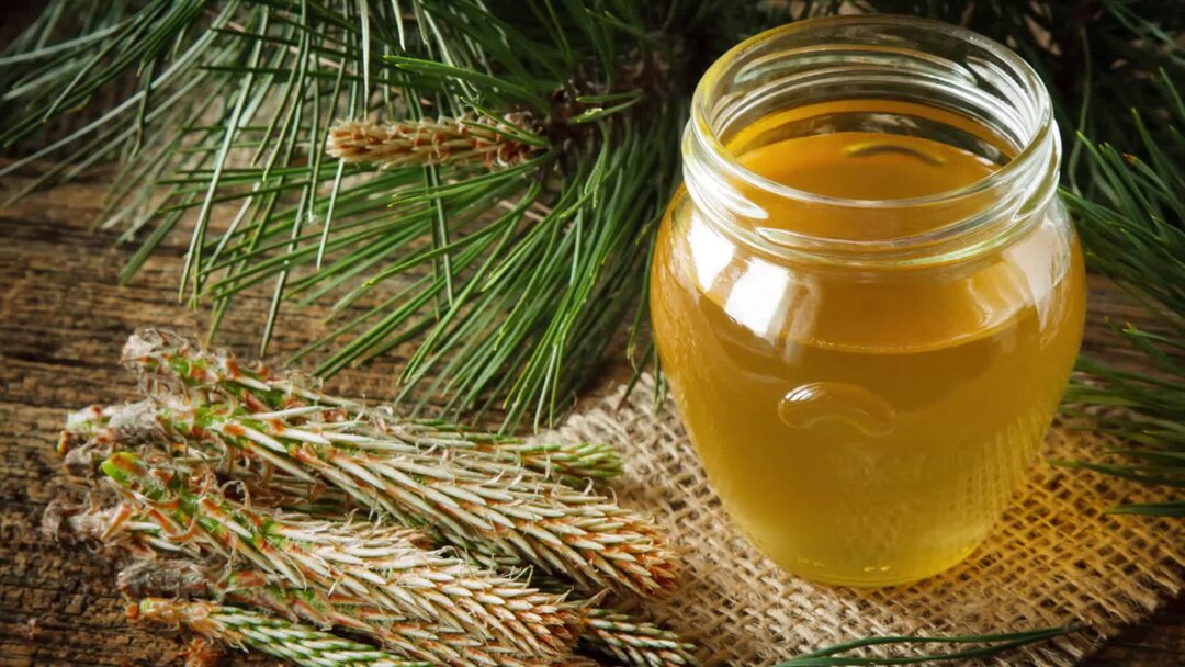 отвар из хвои сосны. отвар из сосновой хвои. лекарства из хвои. отвар из шишек. хвойный настой.