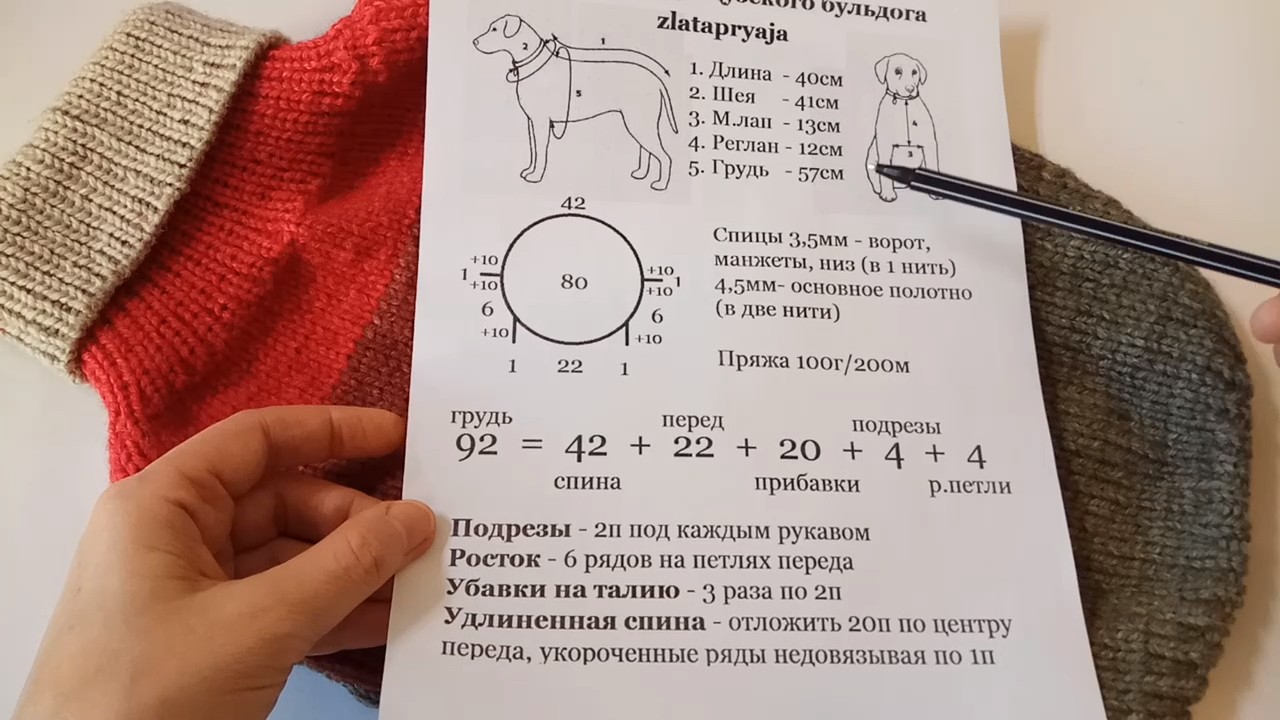 Схема шапочки для собачки. Как вязать реглан для собаки. Свитер для собаки схема. Свитер для собаки схема вязания. Джемпер с собакой схема вязания.