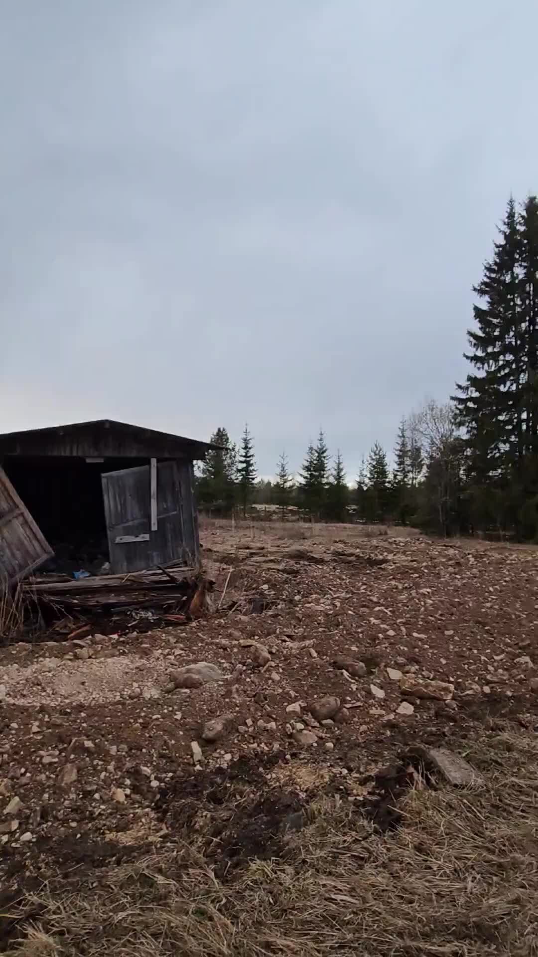 С рюкзачком за плечами🎒🌍 | Деревня Пономарево в Каргопольском районе  Архангельской области. В её составе - всего один дом, да и тот продаётся...  | Дзен