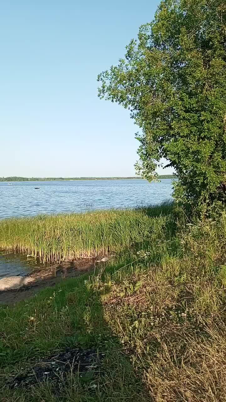 ЗыкоЗыкинско | Озеро Врево, деревня Дом кино. | Дзен