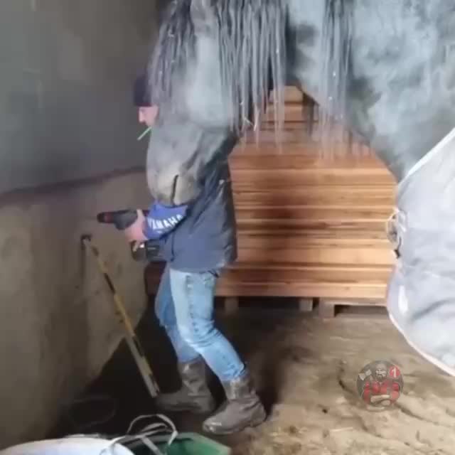 Безопасность - пи выше всего!. Учеба превыше всего. Честность превыше всего. Бандитские слова. Работа превыше всего.