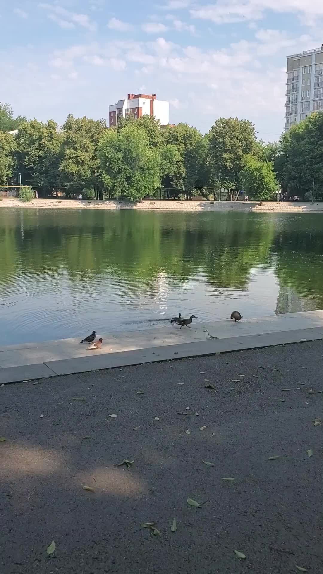 что есть в уфе в парке якутова