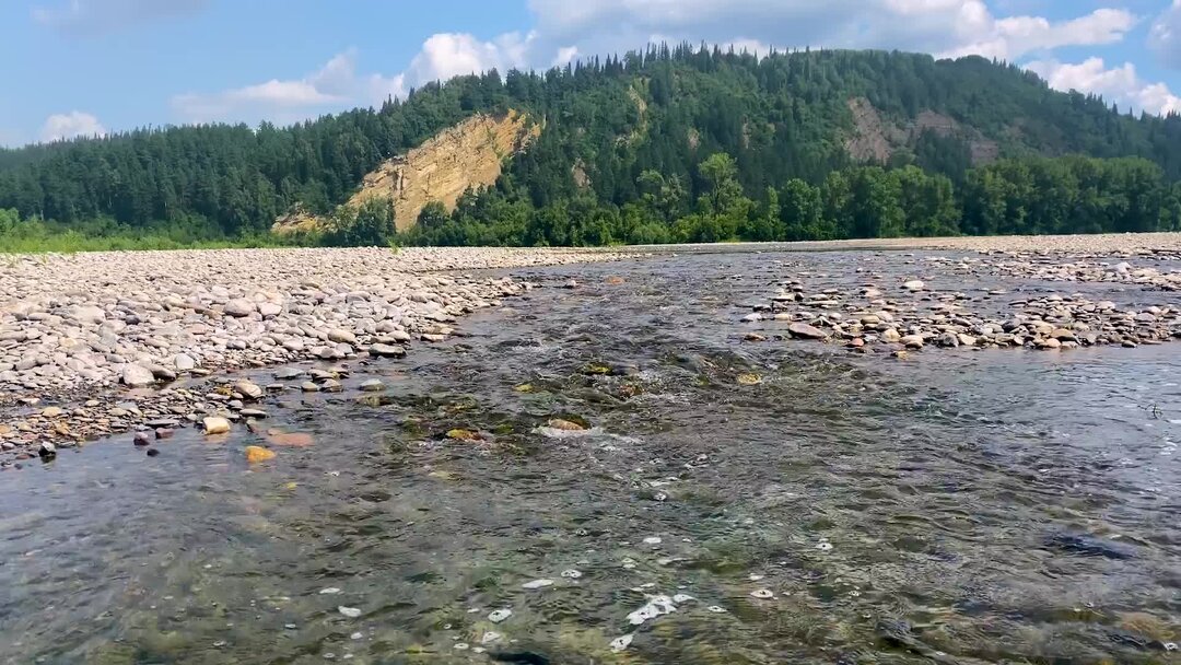 белый шум река. релакс у реки. вода река. шум реки звук. релакс у реки.