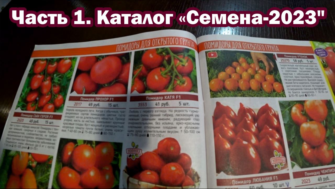 семена алтая томаты каталог на 2022. семена томатов фирмы партнер. семена цветов ассортимент. нк семена русский огород интернет магазин каталог. семена агрофирмы седек.
