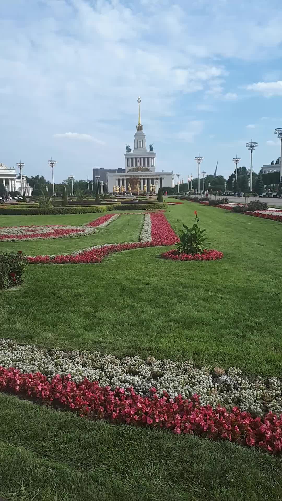 Наташа Королева - Желтые тюльпаны | Текст песни