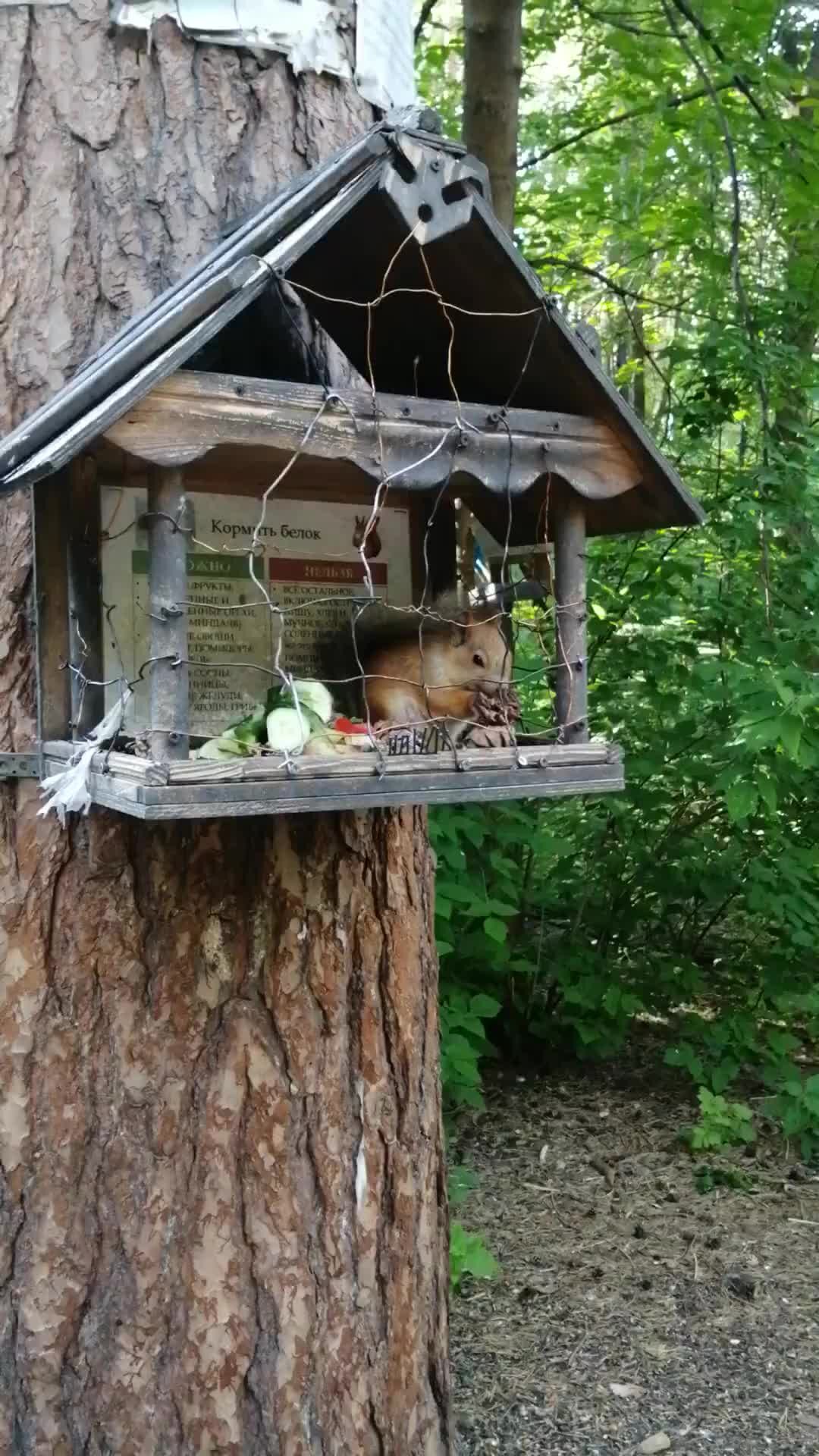 Мир, в котором я живу | 