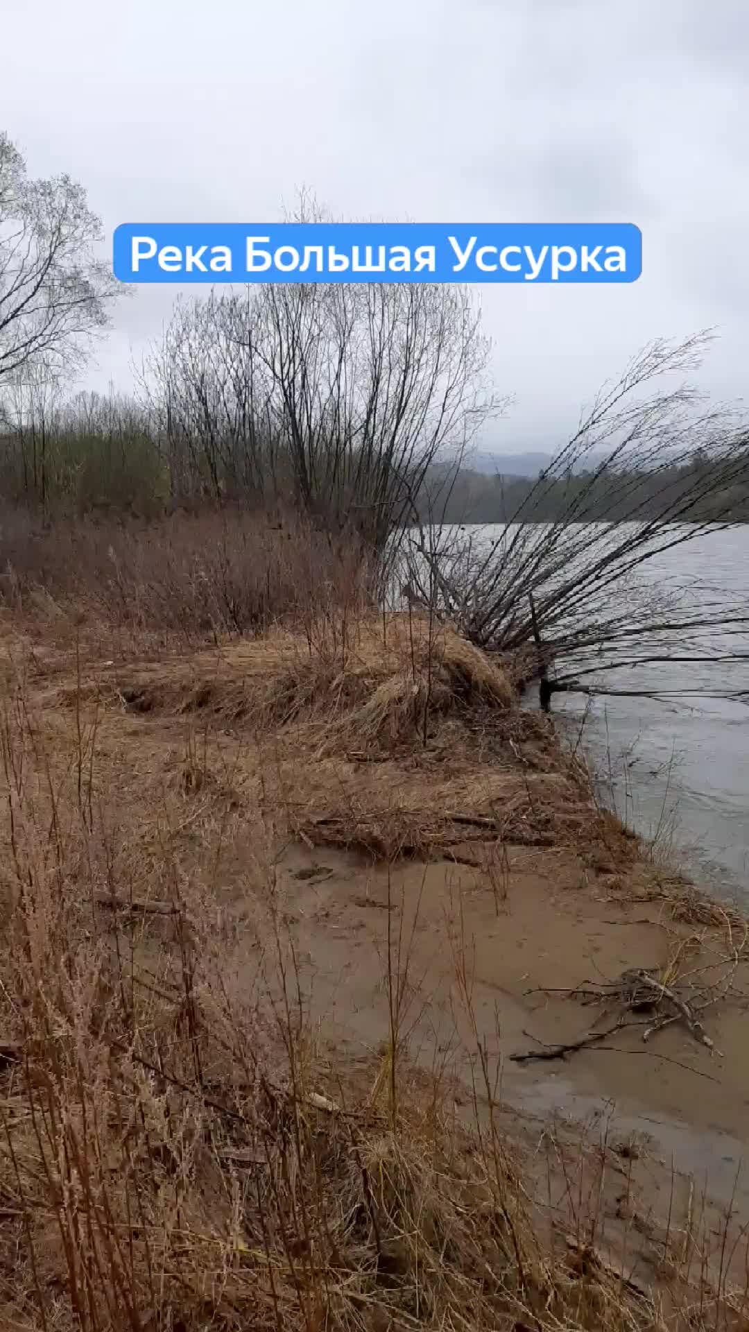 Река Уссурка Приморский край