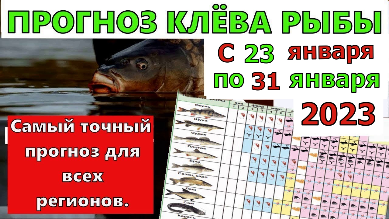 Календарь клева рыбы на март 2024г