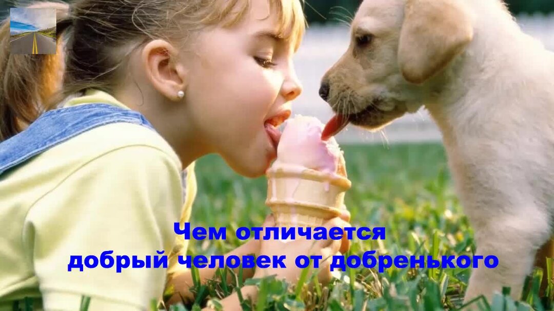 Добрый и добренький как я это понимаю. Афоризмы о великодушии. В чём проявляетсядоброта. Чем отличается добрый человек. Добрый человек определение.