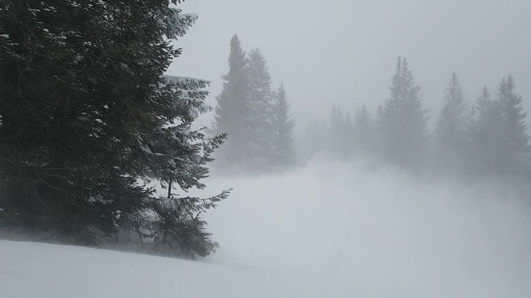 Звучит вьюга. Солдатская вьюга. Метель вьюга пурга звуки. Метель в горах. Краски и звуки зимнего леса сочинение.