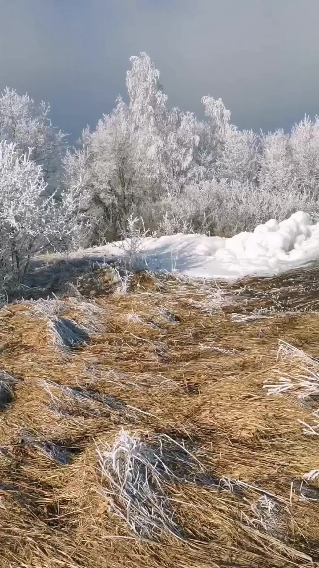 Водоснабжение частного дома из скважины с накопительным баком схема