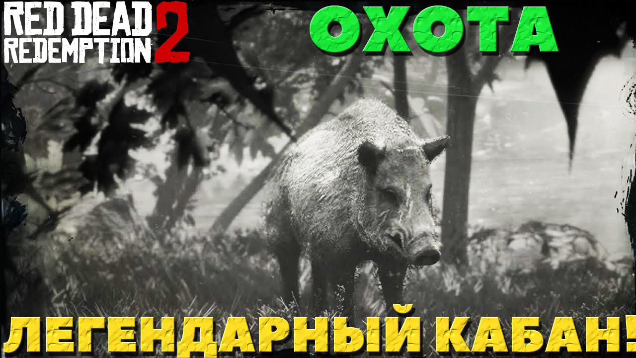 Легендарный кабан rdr2. Red dead redemption 2 расположение охотников на карте. Легендарный кабан rdr2. Легендарный кабан rdr2. Легендарный кабан в рдр 2.