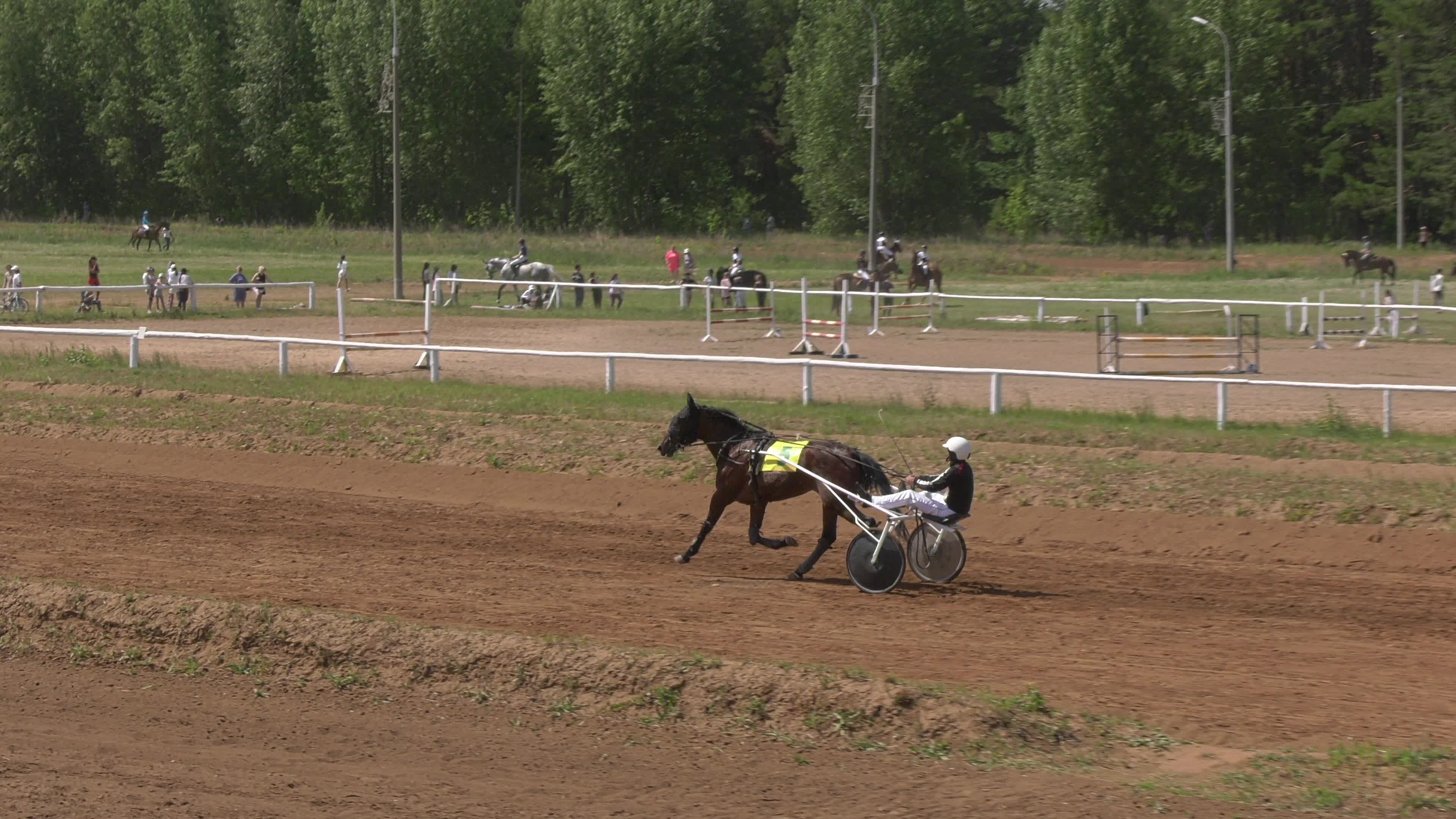 Челнинский ипподром набережные челны. Ипподром челны. Тулпар набережные челны конюшня. Ипподром агрыз. Конная школа в суровке.